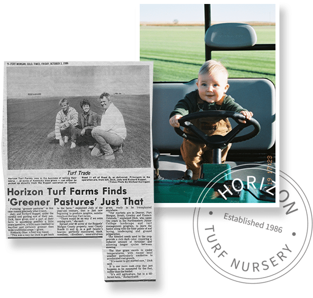Horizon Turf Nursery Colorado