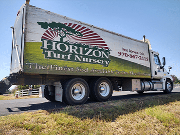 sod delivery