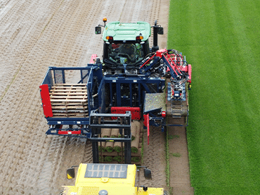fresh sod harvesting